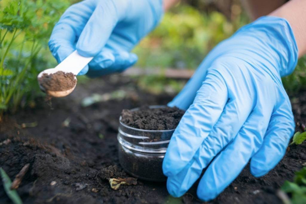 Concepts of Soil Science